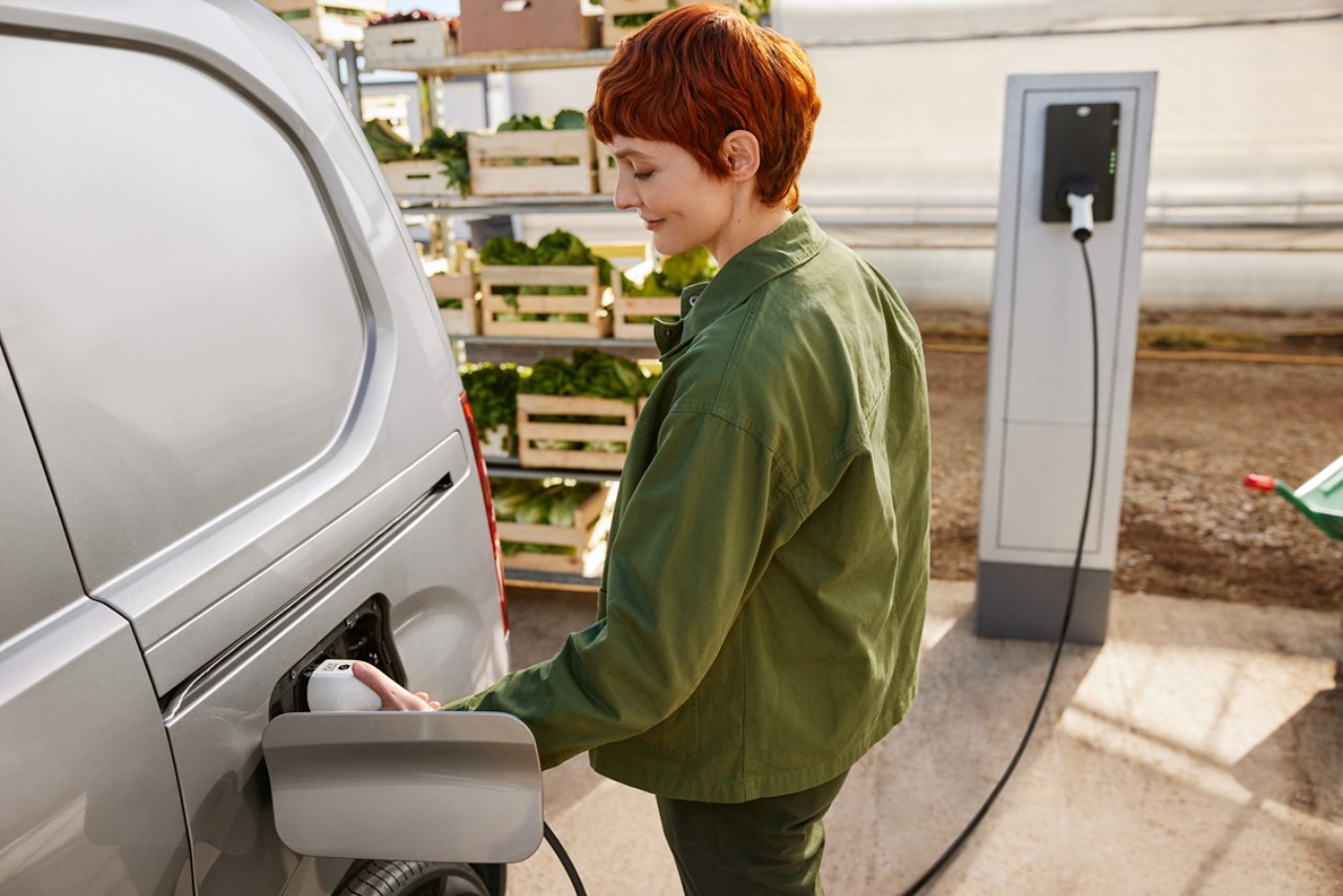 Mehr über Elektrofahrzeuge erfahren